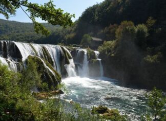 Germany’s Role in Supporting the Sultan