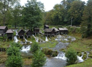 German Investments in Turkish Lands